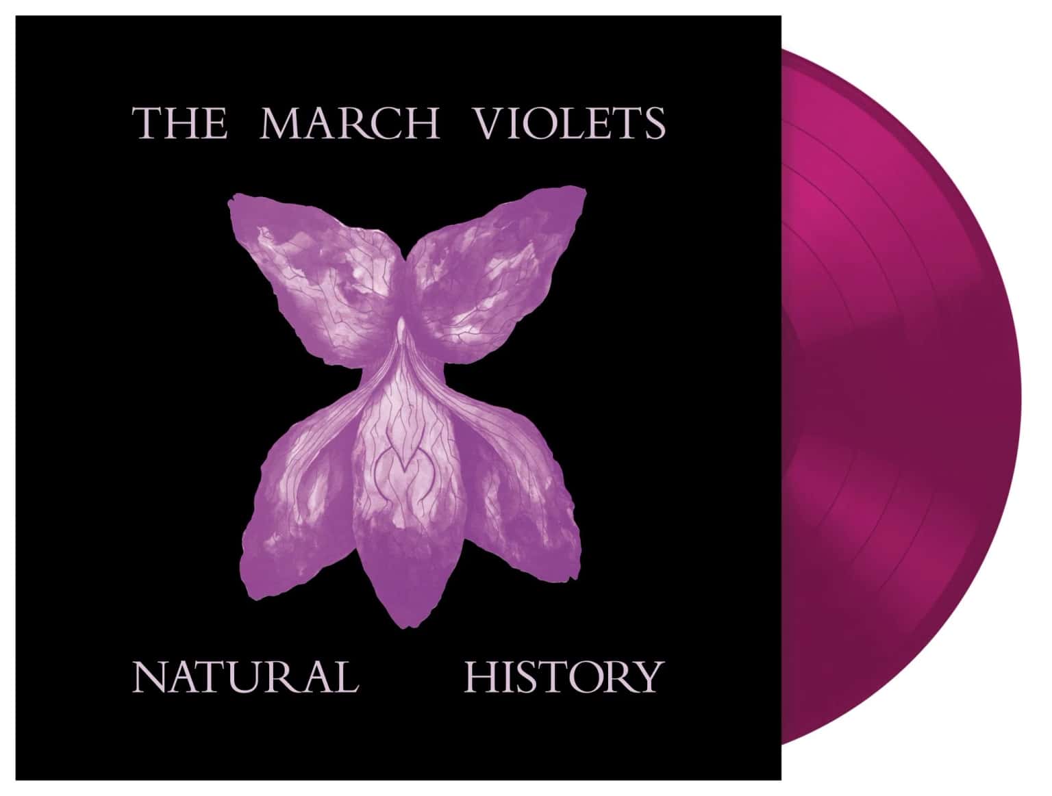 The March Violets