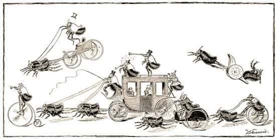 Flea Circus: The Smallest Show on Earth