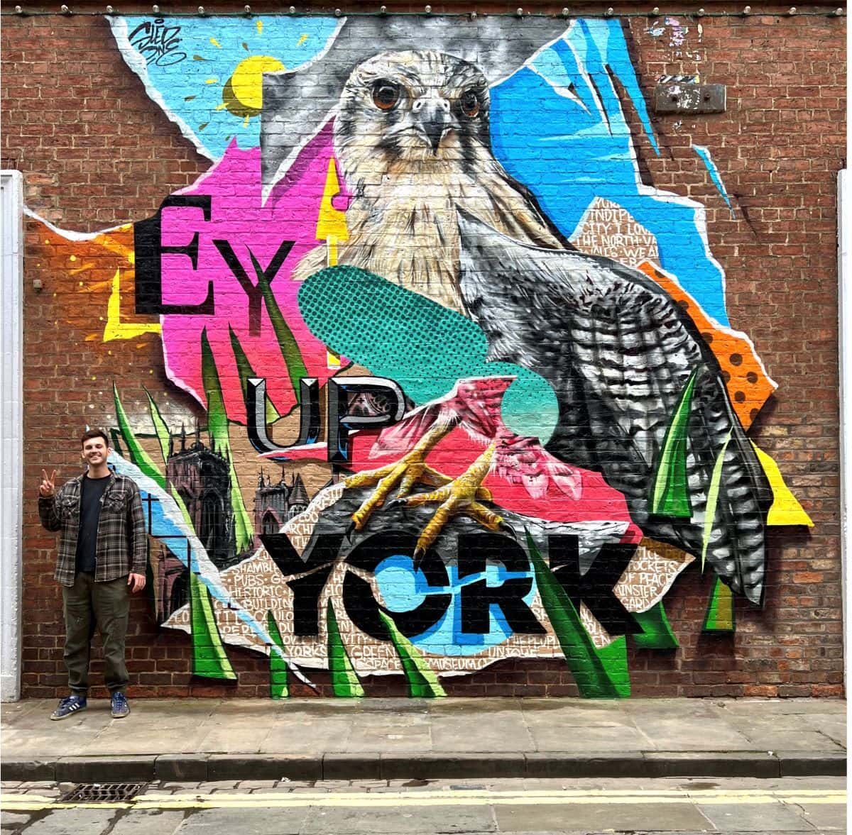 York’s new fox mural adds colour to The Groves