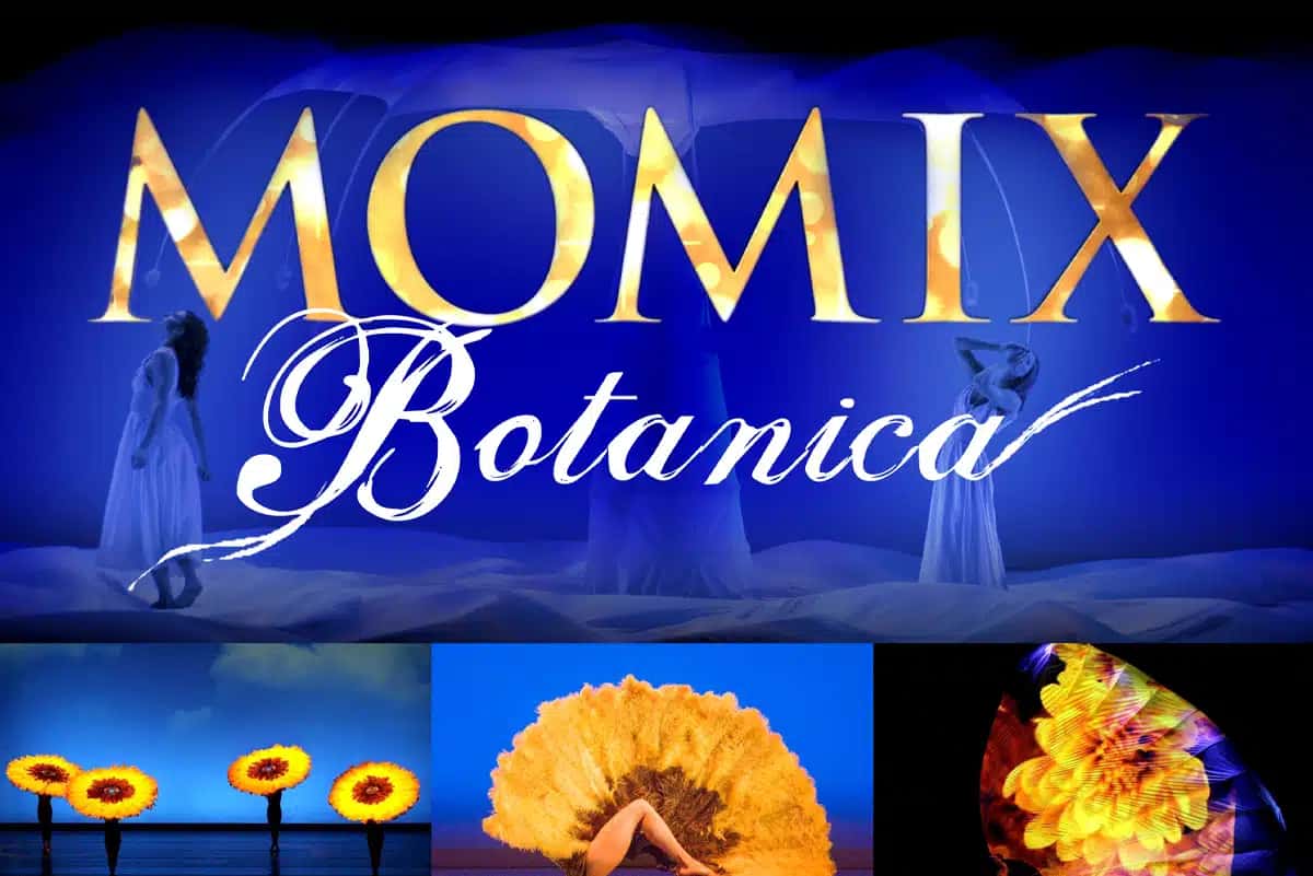 Momix Botanica
