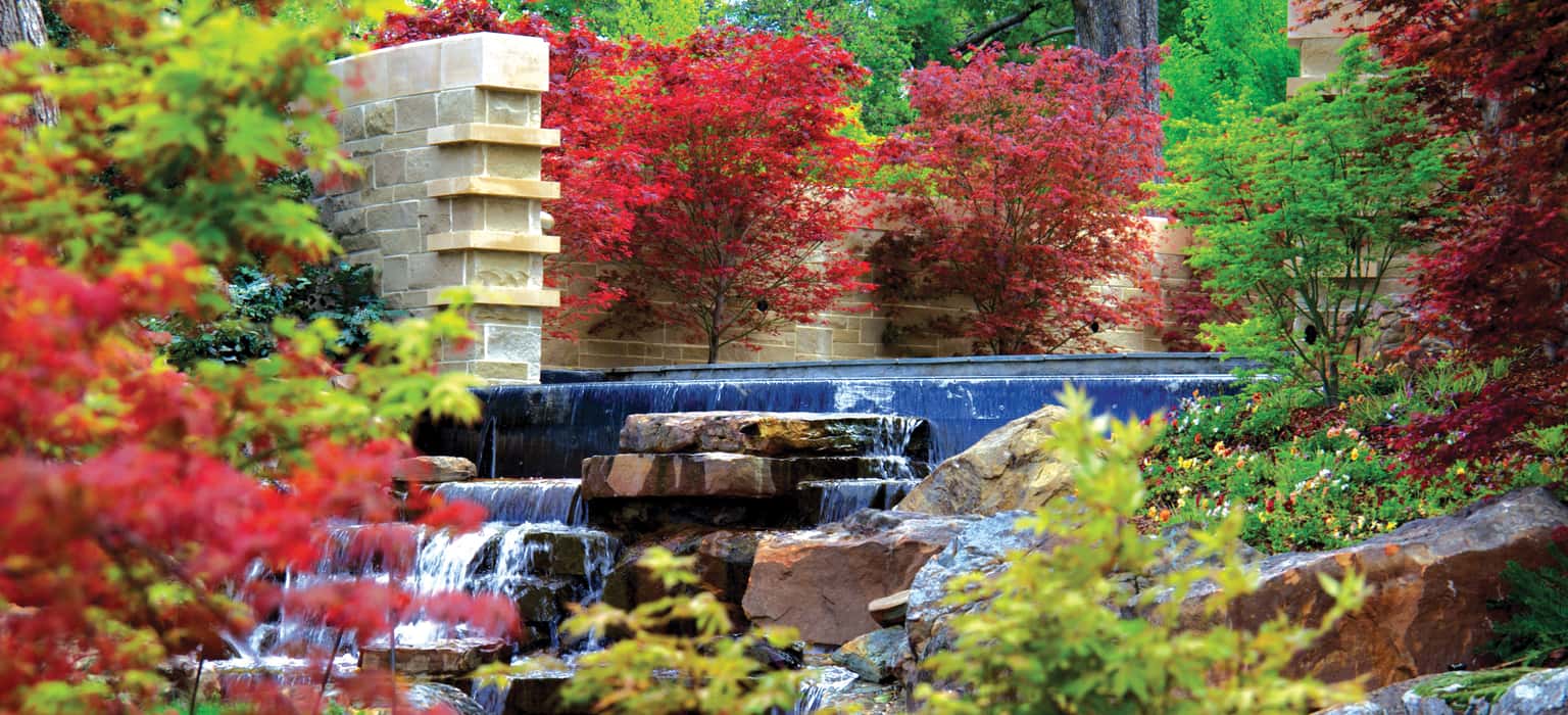 Autumn at the Dallas Arboretum: Harvest Hues