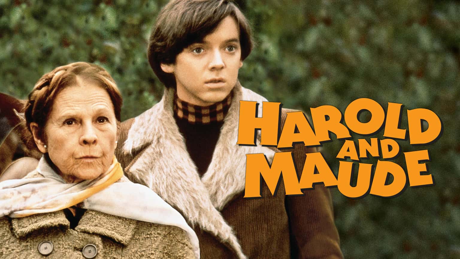 WTF: Harold and Maude (55th Anniversary)
