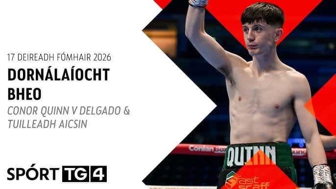 Conlan Sports & Hammer Boxing: Unleashed