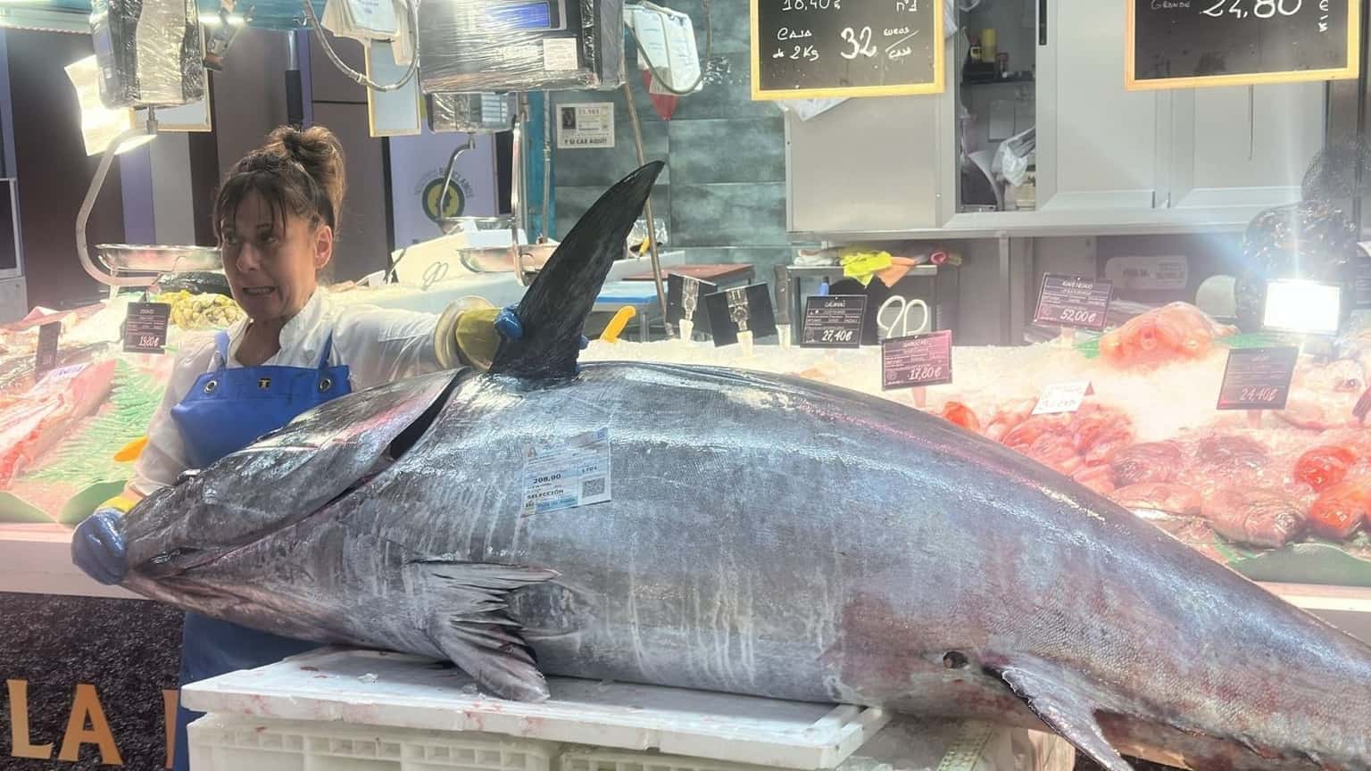 Cuatro atunes gigantes en una semana en la Rula