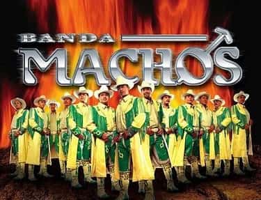 Banda Machos, Tierra Cali y Mas