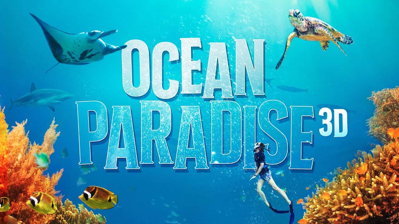 Ocean Paradise