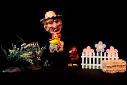 Old MacDonald's Pumpkin Patch