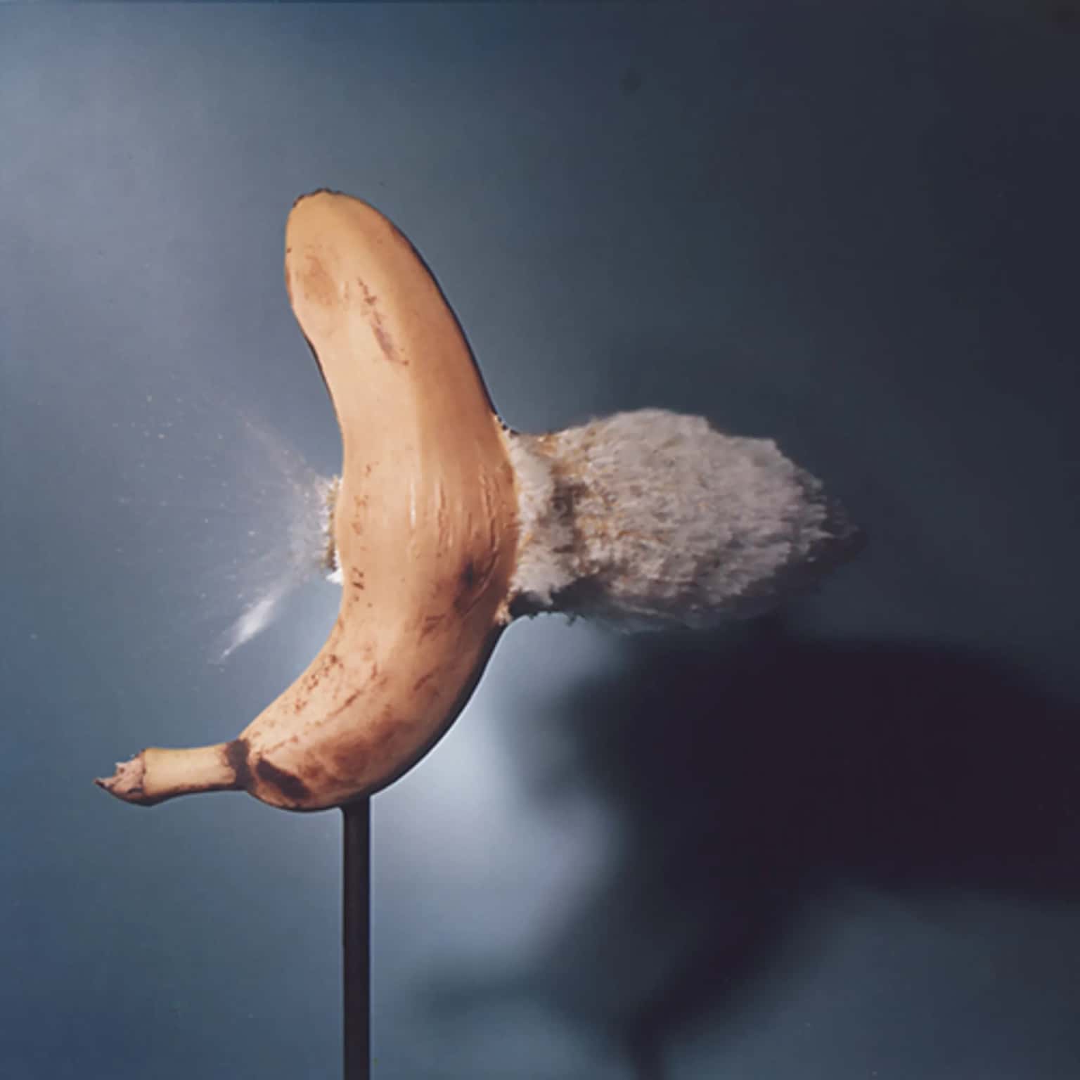 Ecstatic Time: The Alchemy of Photography