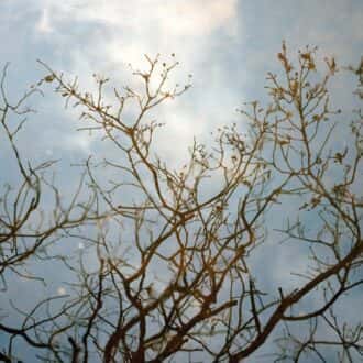 Fractured Landscapes and how we heal