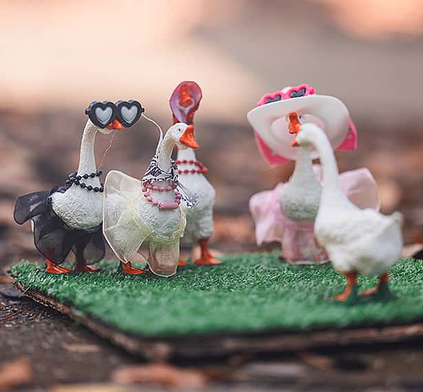Wild Goose Chase Scavenger Hunt