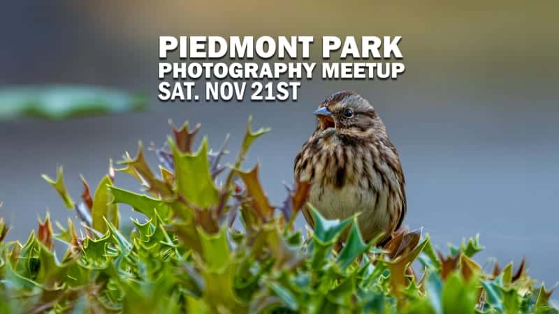 Nature Photography Meetup in Piedmont Park