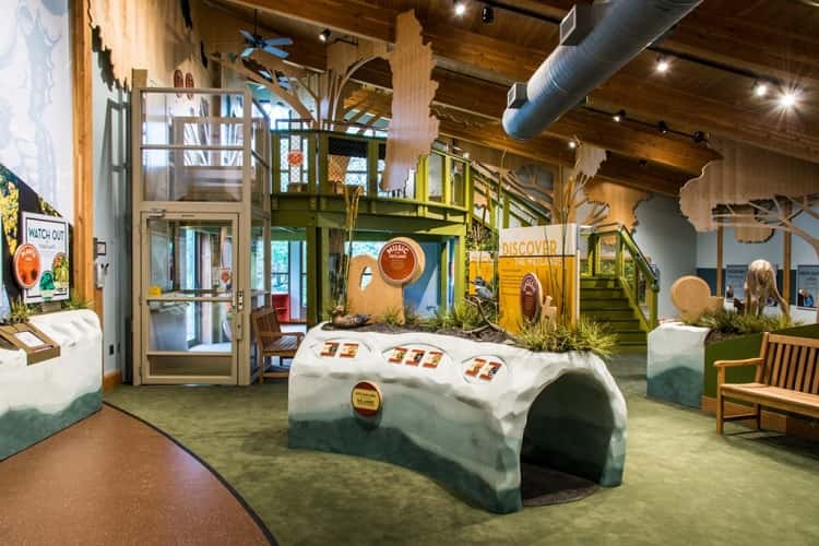 Critter Tales