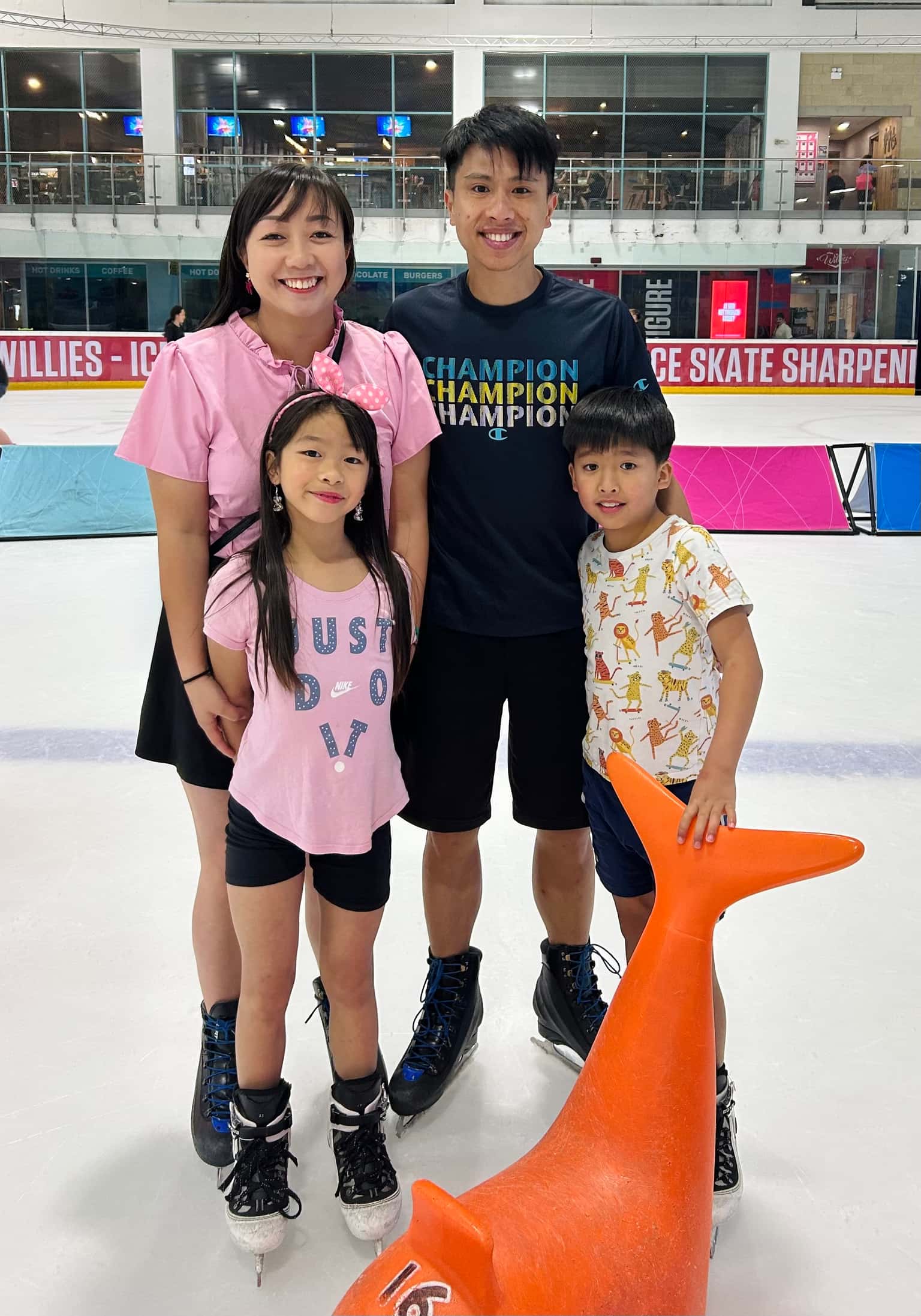 Public Skating at The National Ice Centre