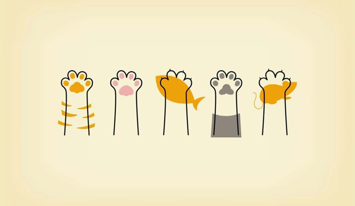 The Psychology Of Cats