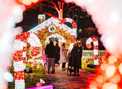 Wollaton Winter Light Trail