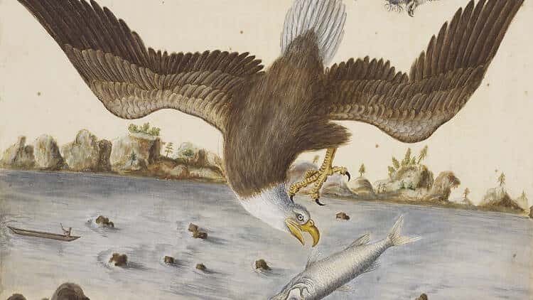 Becoming America: How Science Shaped a Nation