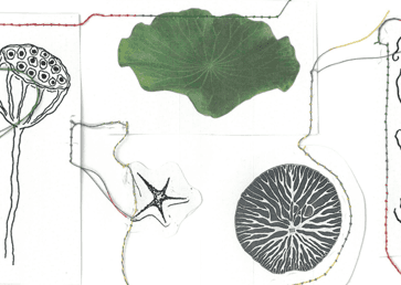 Lily Pad Book Club: The Jakarta Method