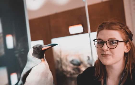 Taxidermy in Action with Sarah Burhouse