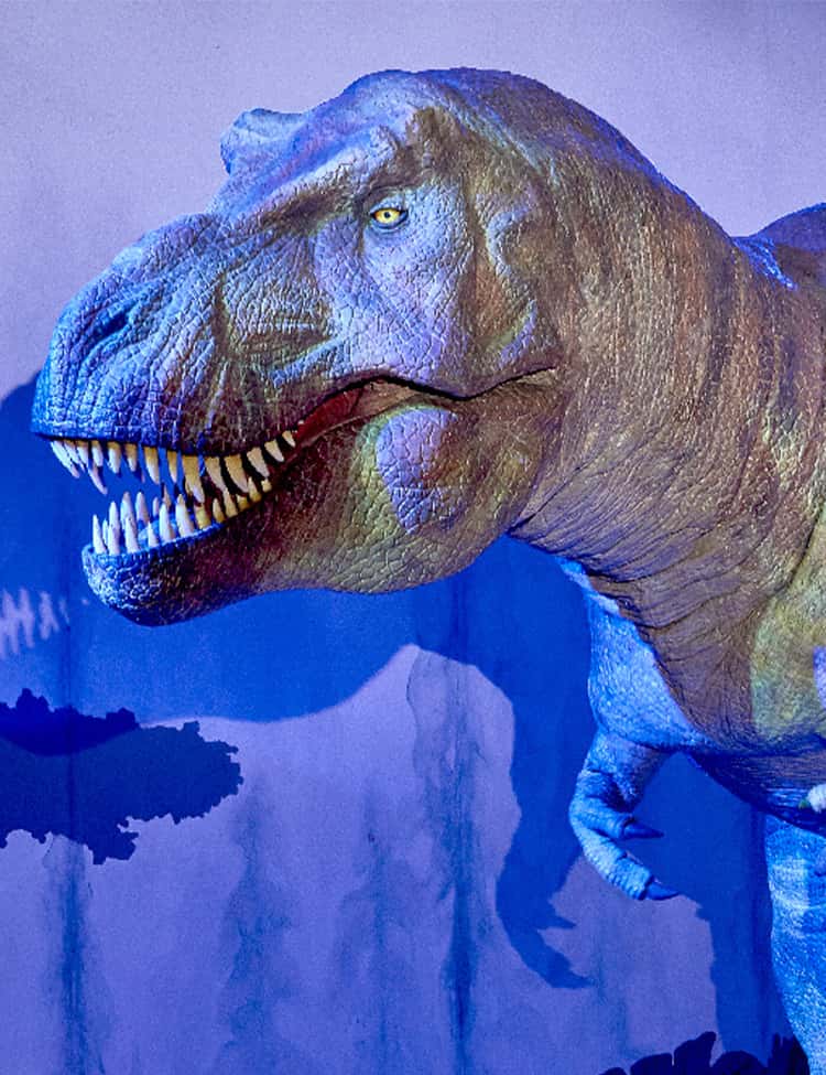 Members Event: Dinosaur Detectives with Ben Garrod