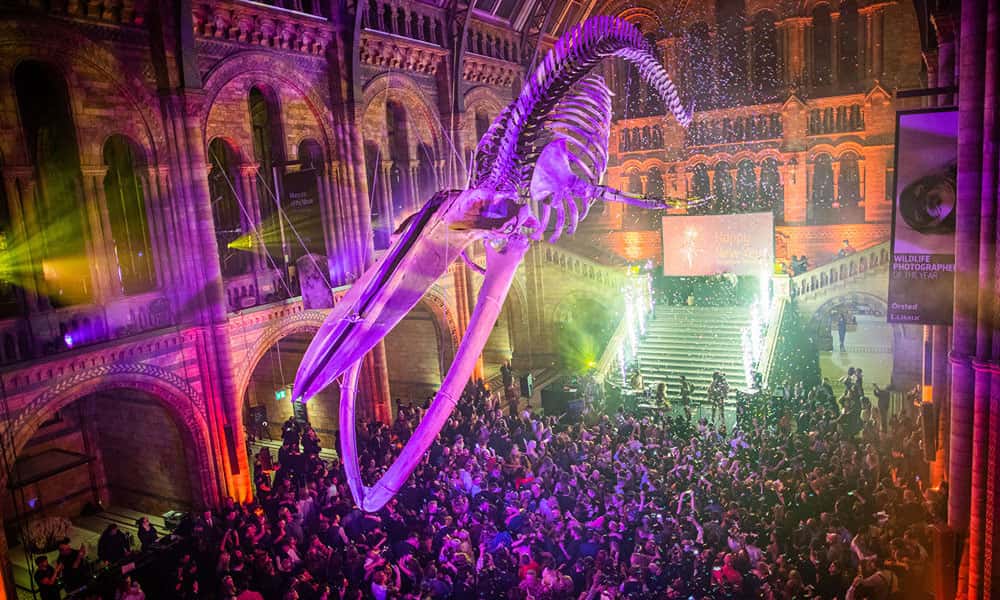 New Year's Eve: Party at the Museum