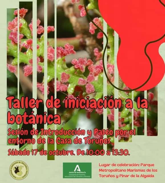 Taller de Iniciación a la Botánica