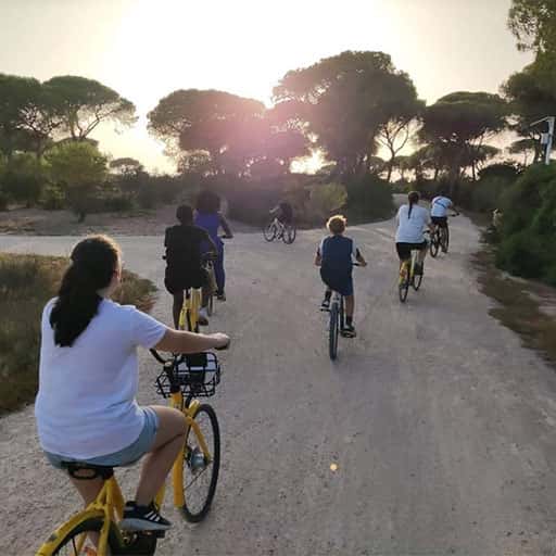 Ruta Histórica en Bicicleta Los Toruños y Pinar de la Algaida