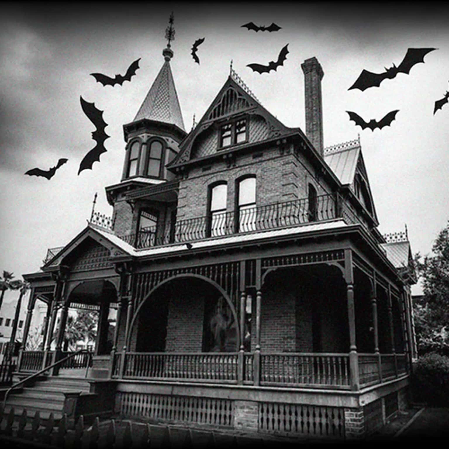 Seances and Spiritualists Tour