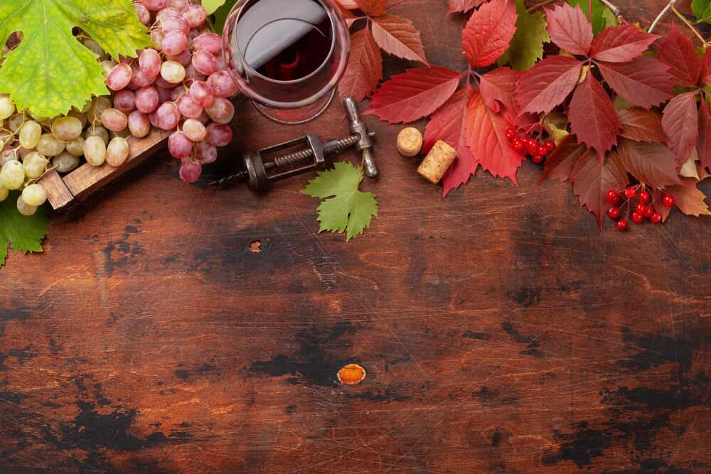 Autumn Reds Wine Tasting