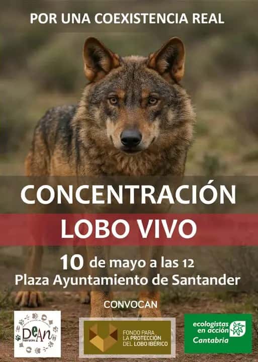 Concentración en defensa del lobo
