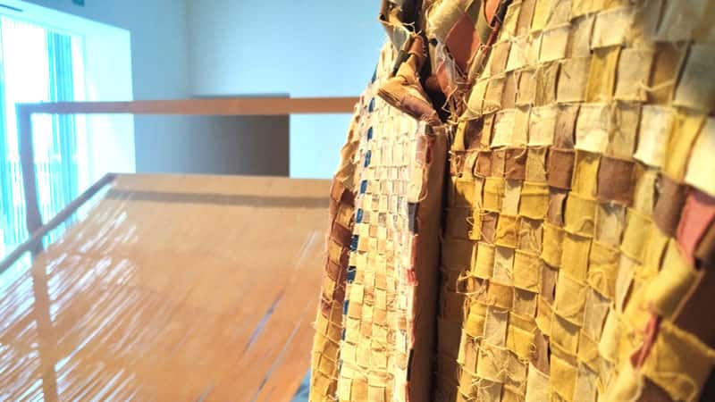 Descubre el arte de los tintes naturales