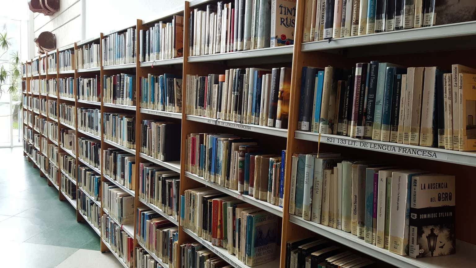 Actividades infantiles en las bibliotecas municipales: de enero a junio 2025