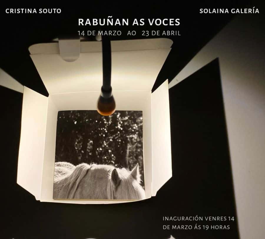Inauguración Exposición | RABUÑAN AS VOCES de Cris Souto