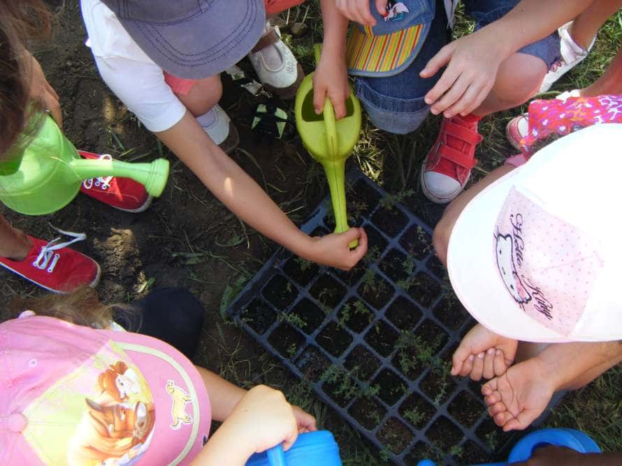 Taller familiar: ¡Manos a la huerta!