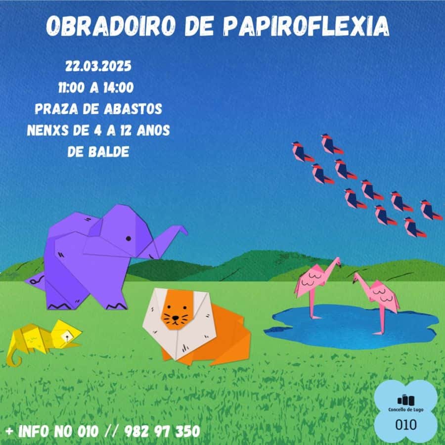 Obradoiro de Papiroflexia