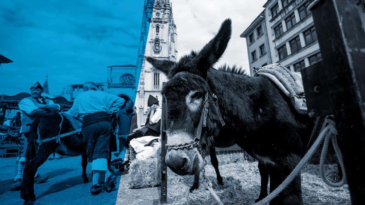 Talleres de fabricación de sidra