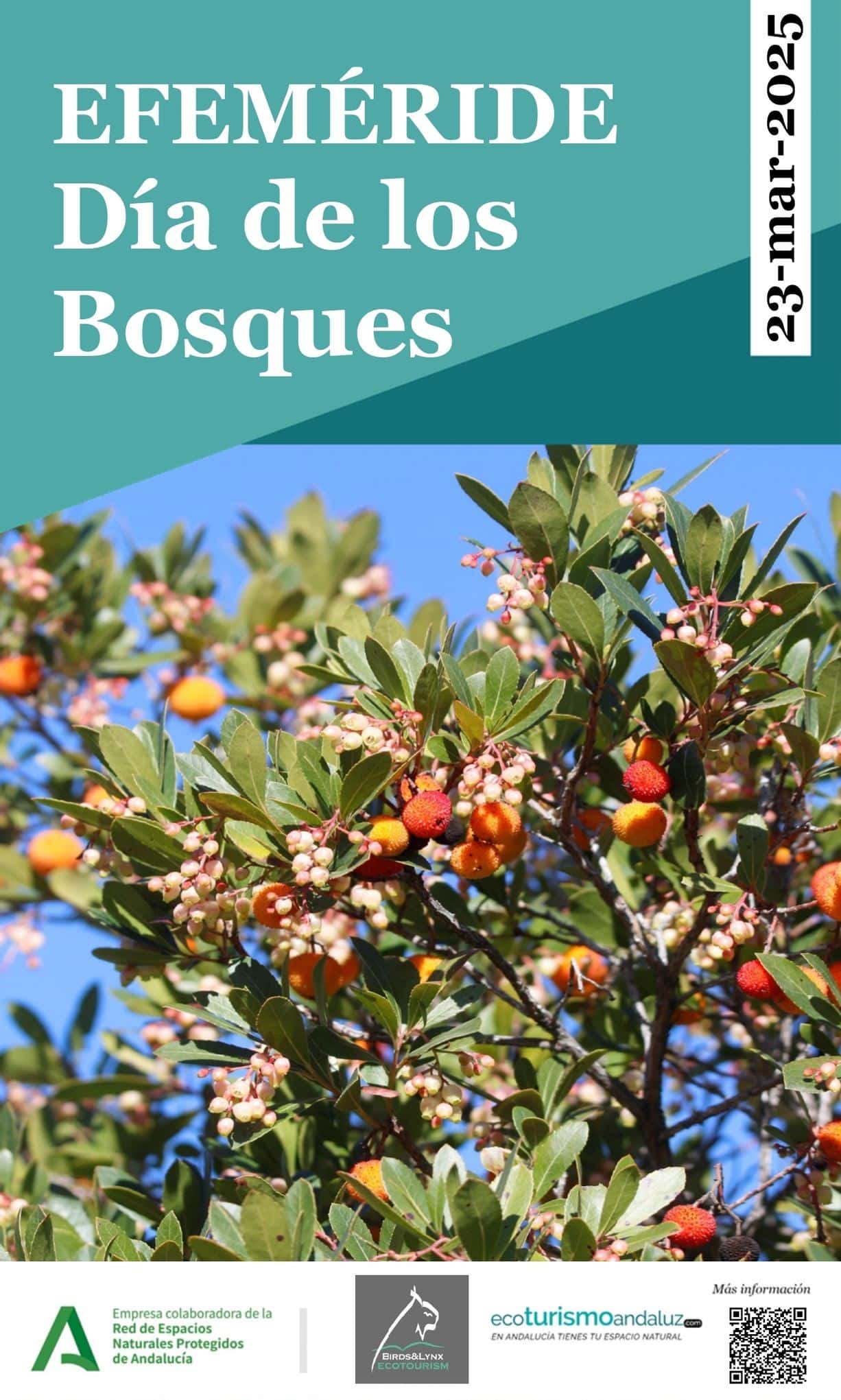 Efeméride: Día de los Bosques