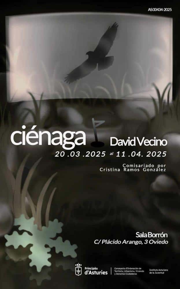 David Vecino. Exposición