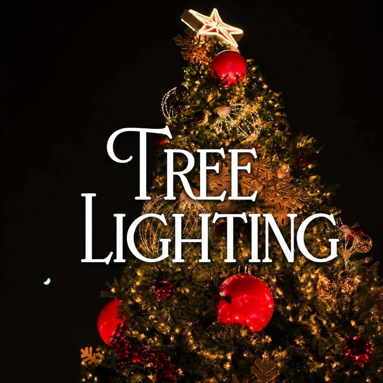 Tree Lighting Ceremony at CultureMap City Rink