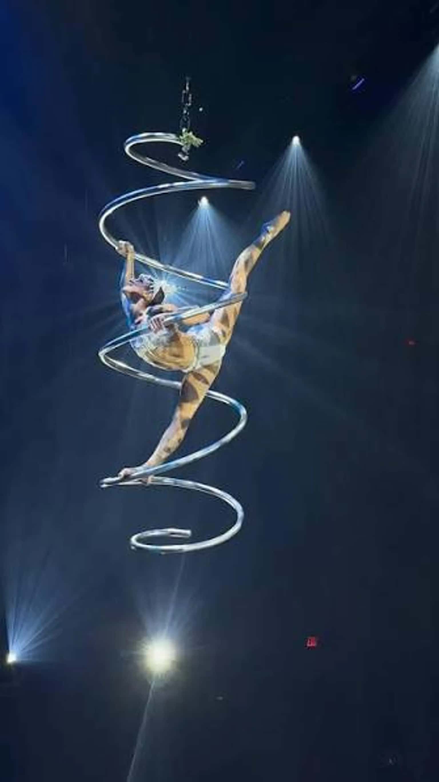A Magical Cirque Christmas