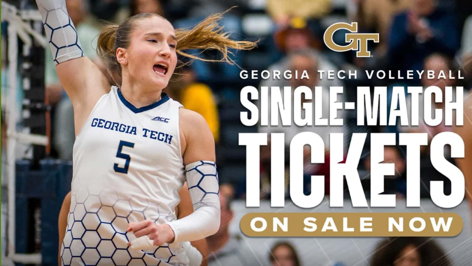 Georgia Tech Volleyball vs. Wake Forest