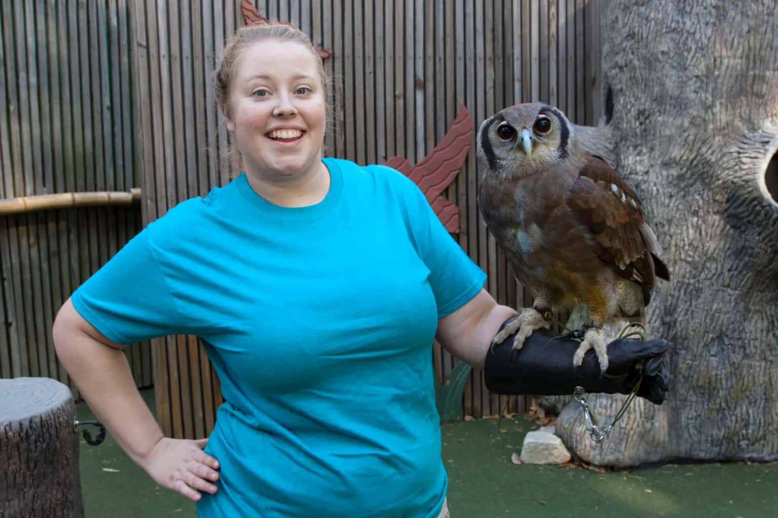 Trainer for a Day: World of Wild Theater