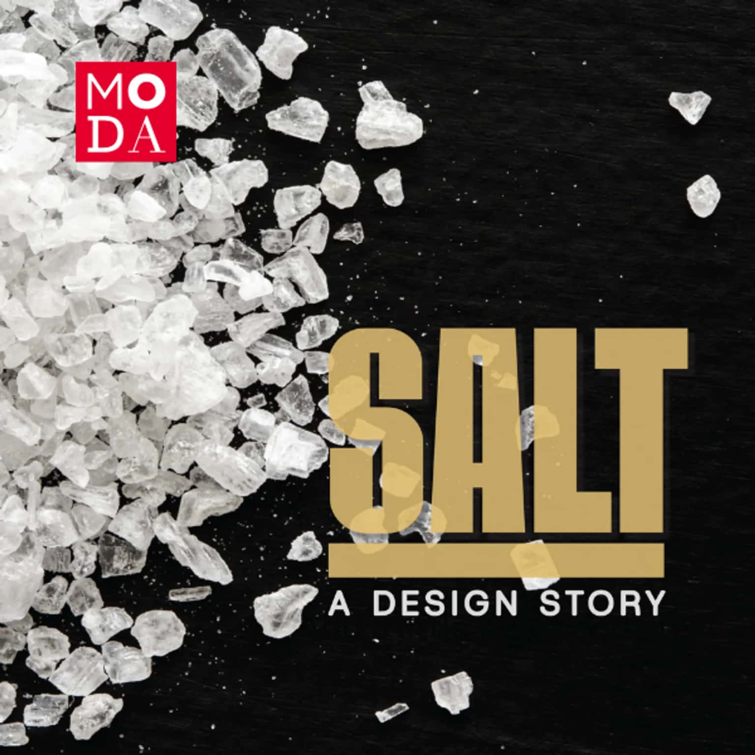 Salt: A Design Story