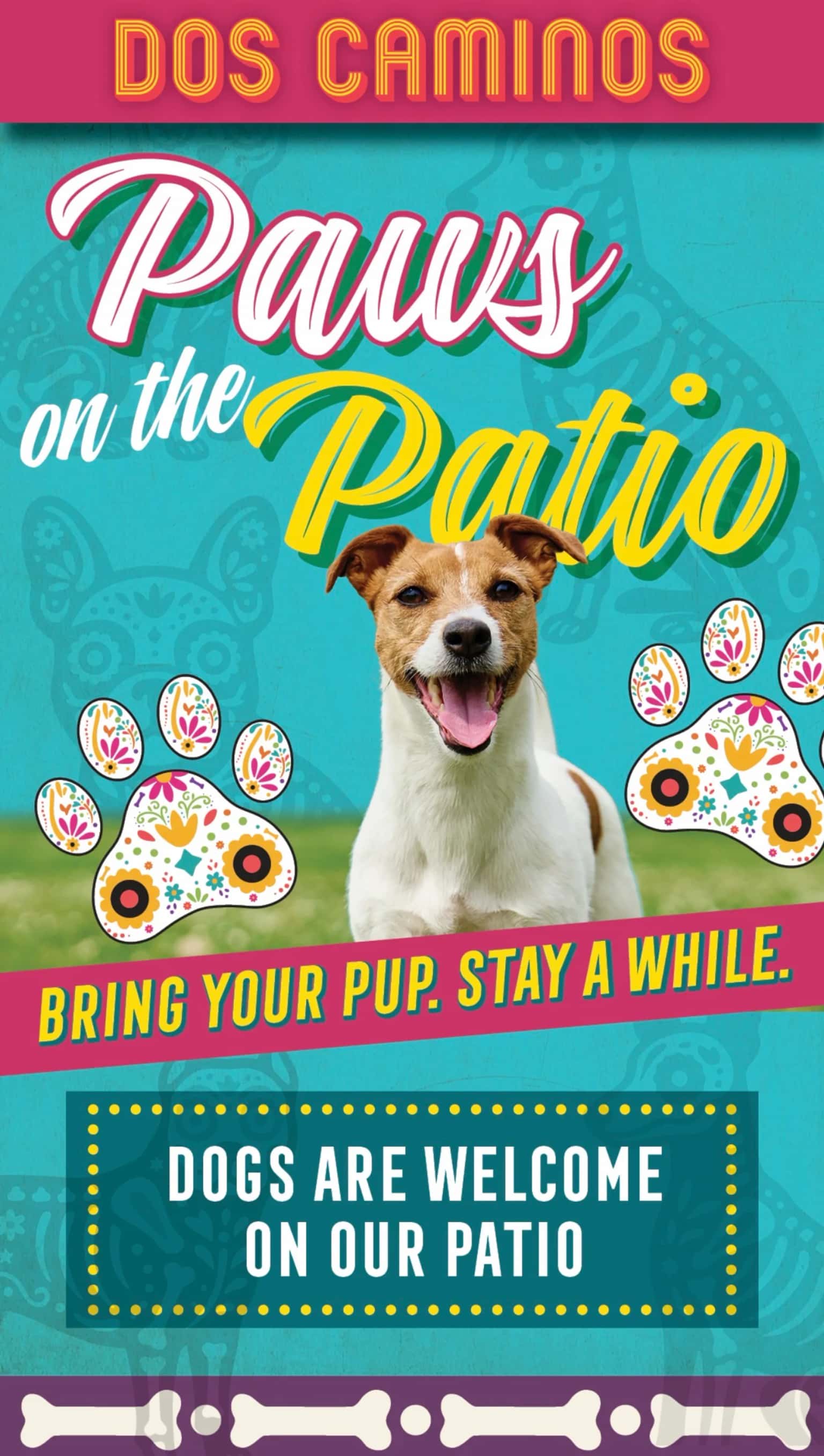 Paws on The Patio