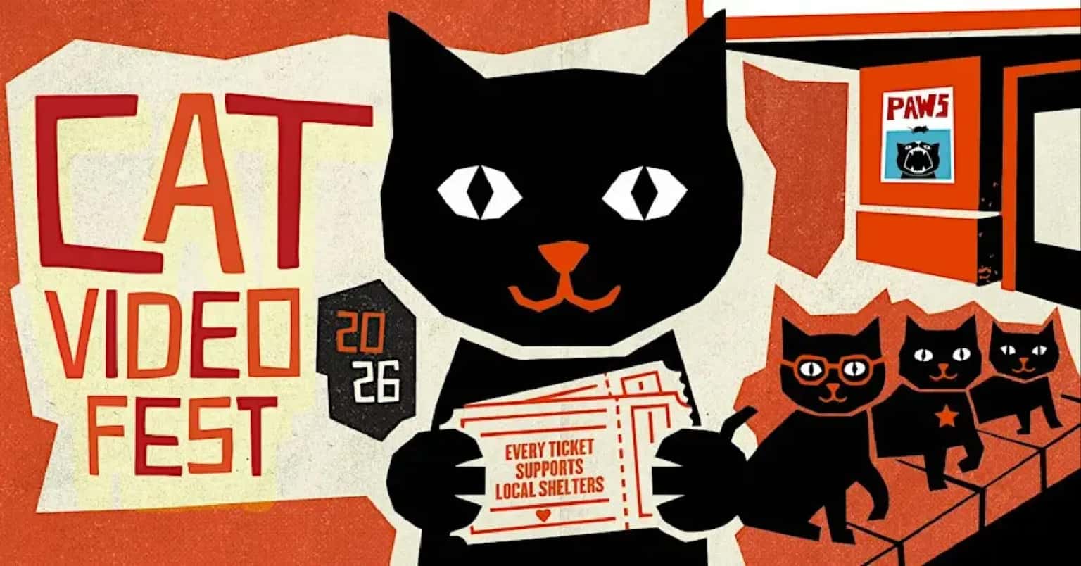 CatVideoFest