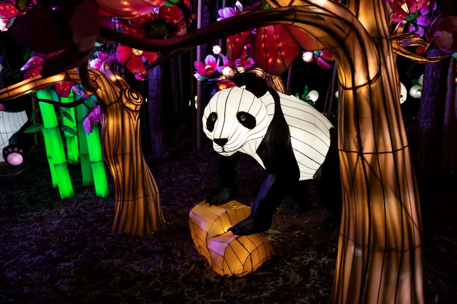 IllumiNights at the Zoo