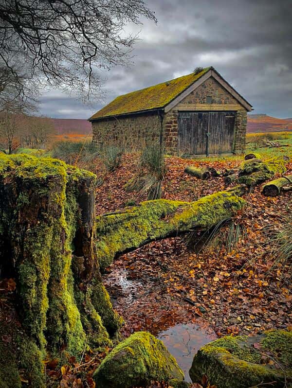 Longshaw Estate