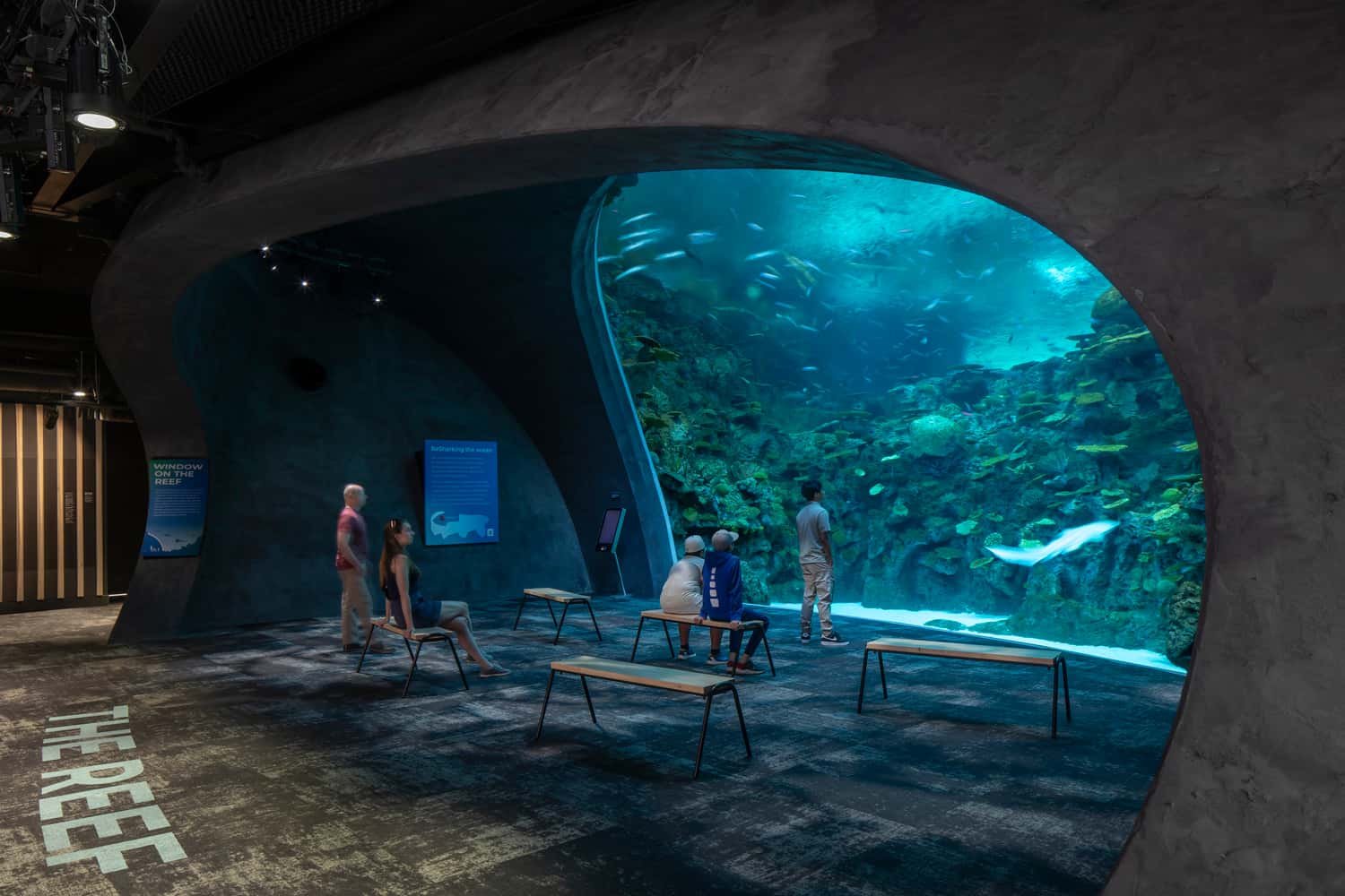 ¡Vamos al Acuario!