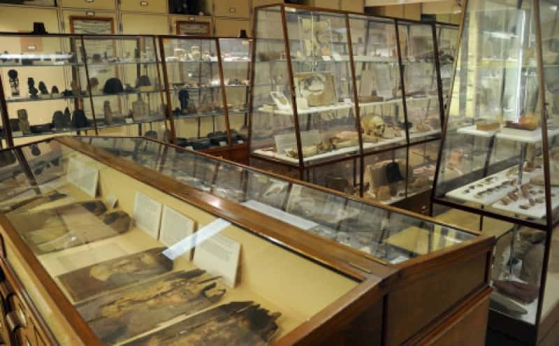 Petrie Museum of Egyptian and Sudanese Archaeology
