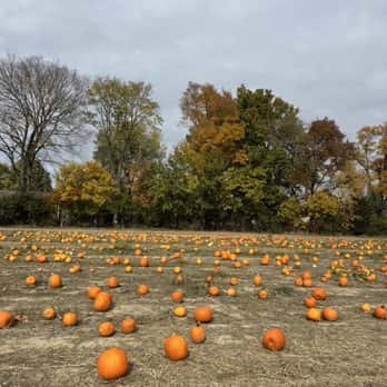 Waterman's Family Farm Fall Festival