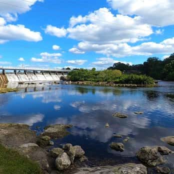 NAMIWalks Hillsborough